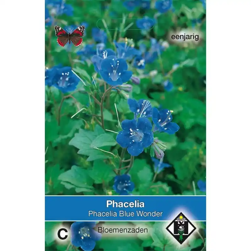 Beperkte voorraad | Phacelia campanularia ‘Blue Wonder‘ -zaden-