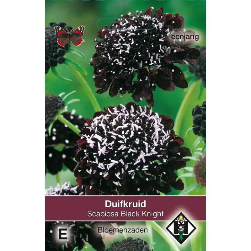 Scherp geprijsd | Scabiosa atropurpurea ´Black Knight´ -zaden-