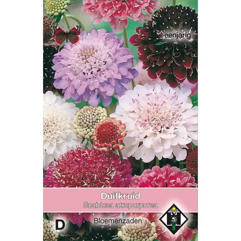 Scabiosa atropurpurea -mix- -zaden- | Profiteer nu