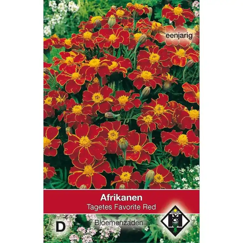 Rechtstreeks van de fabrikant | Tagetes patula nana ‘Favorite Red‘ -zaden-