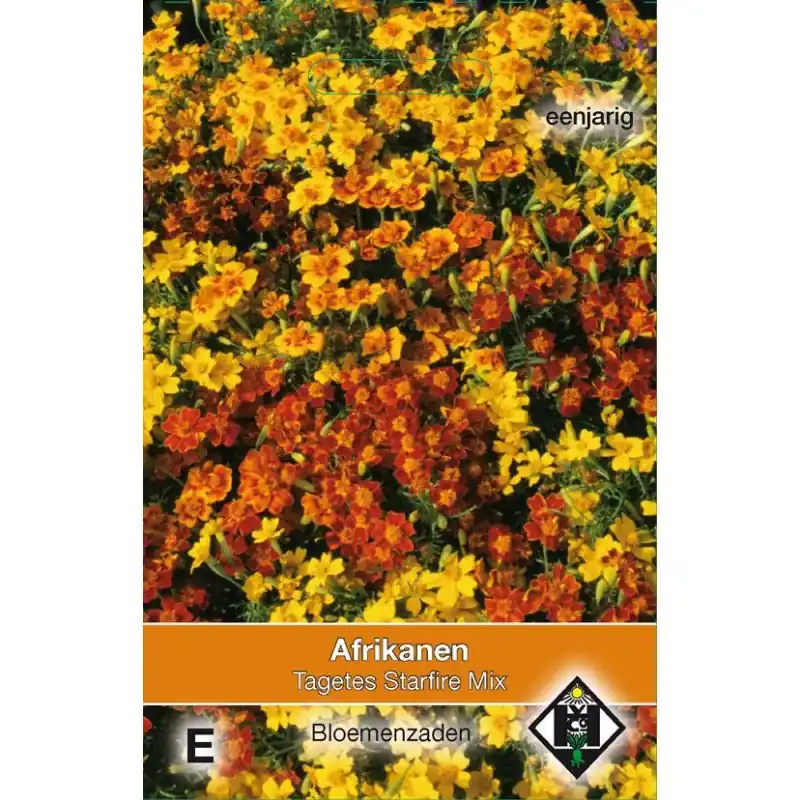 Koopje - Tagetes tenuifolia ‘Starfire Mix‘ -zaden-