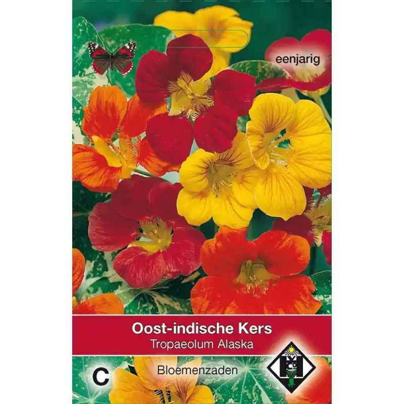 Tropaeolum majus nanum ‘Alaska‘ -zaden- - Nieuwe release