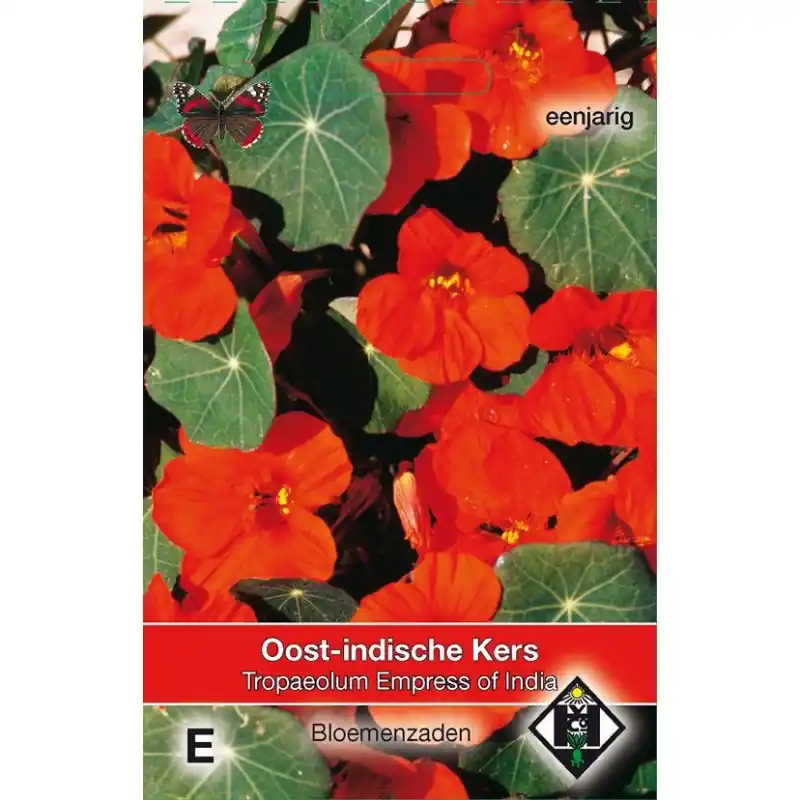 Tropaeolum majus nanum ‘Empress of India‘ -zaden- - Snelle levering
