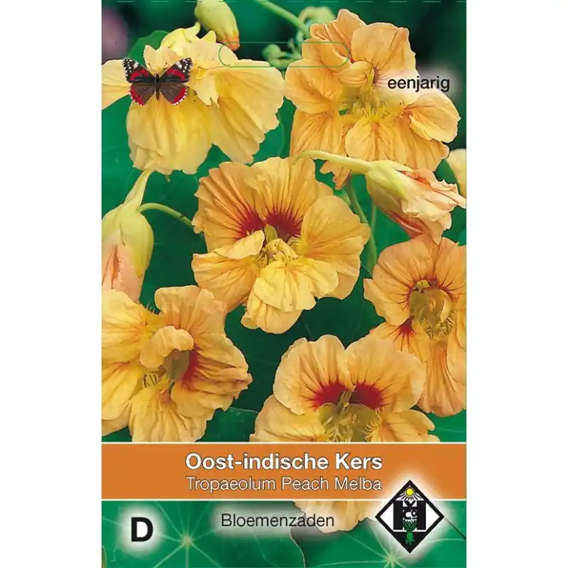 Voeg toe aan winkelwagen | Tropaeolum majus nanum ‘Peach Melba‘ -zaden-