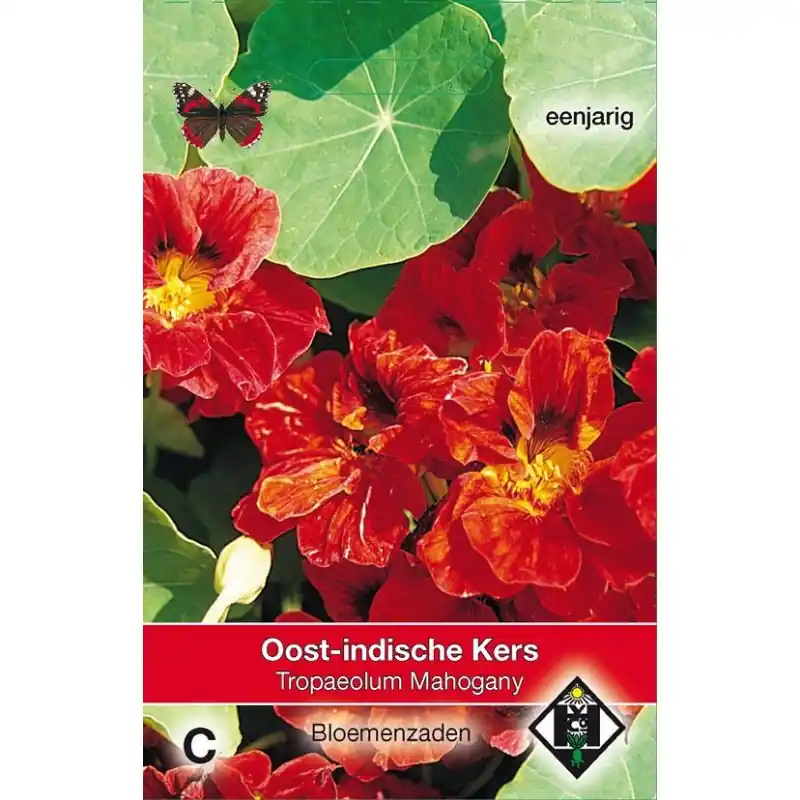 Meest verkocht | Tropaeolum majus nanum ‘Mahogany‘ -zaden-