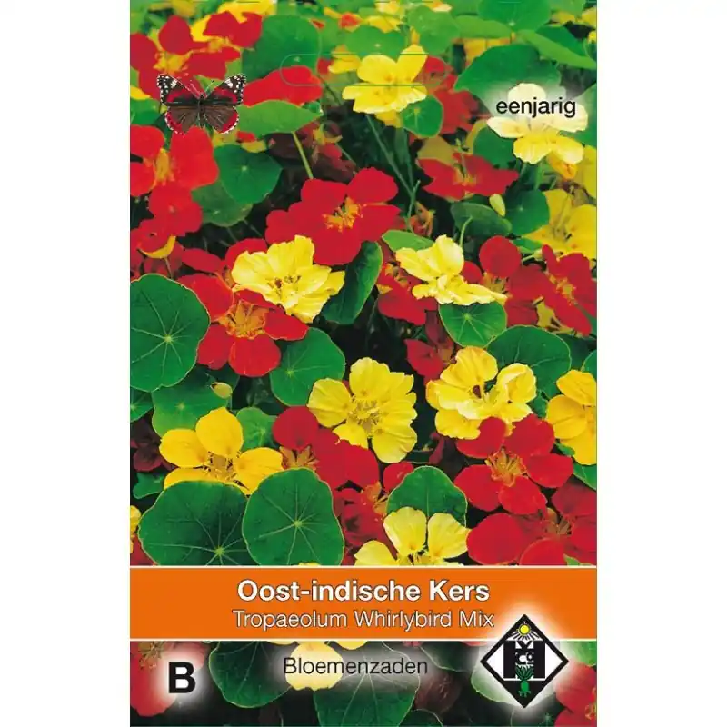 Tropaeolum majus nanum ‘Whirlybird Mix‘ -zaden- | Spoedlevering