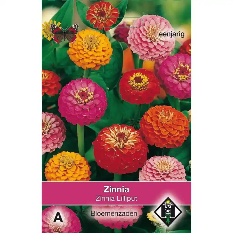 Zinnia elegans ‘Lilliput‘ -zaden- | Expreslevering