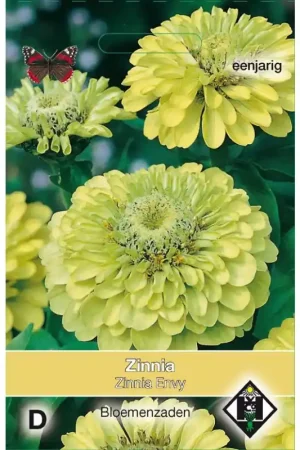 Zeer goed beoordeeld | Zinnia elegans ‘Envy‘ -zaden-