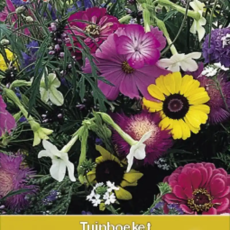 Tuinboeket voor vlinders -zaden- - Populair