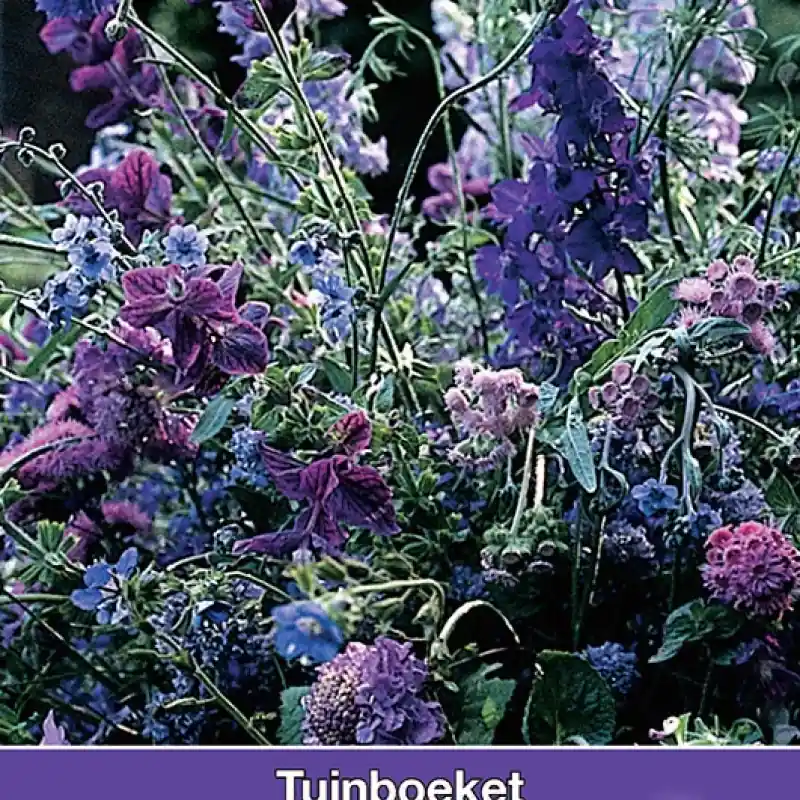 Speciale aanbieding | Tuinboeket, plukmengsel in blauw -zaden-