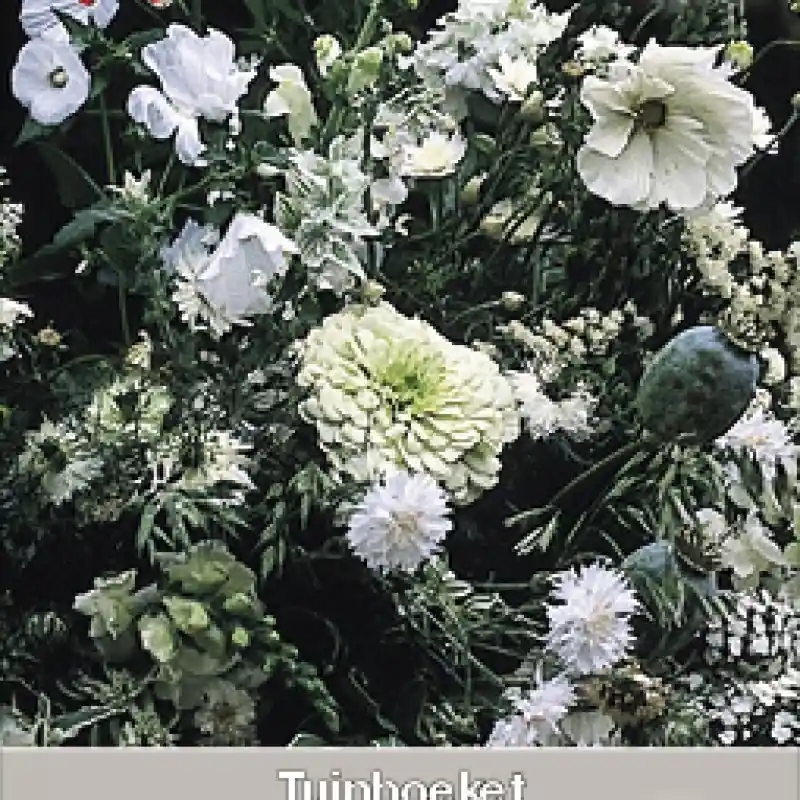 Direct bestellen | Tuinboeket in wit en groen -zaden-