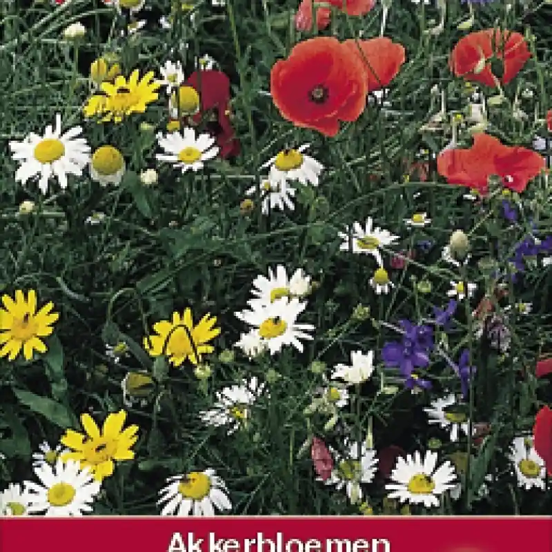 Topkwaliteit - Akkerbloemenmengsel -zaden-