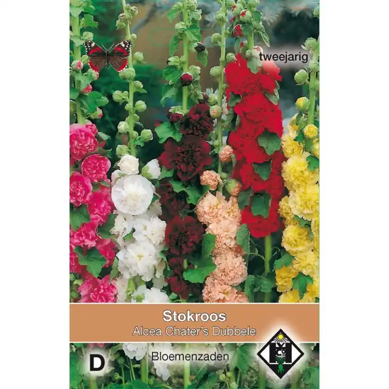 Alcea rosea plena ‘Chater‘s Dubbele‘ -zaden- - Topdeal