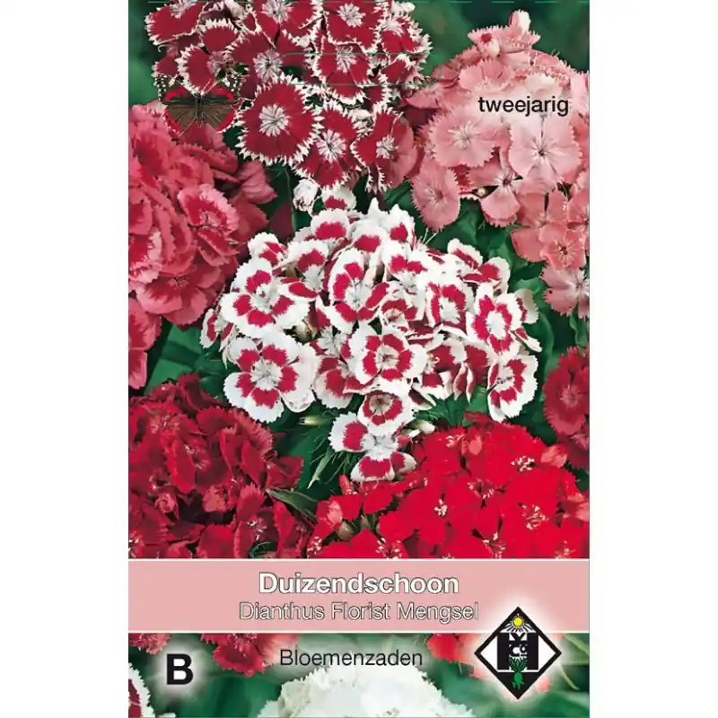 Profiteer nu - Dianthus barbatus ‘Florist Mengsel‘ -zaden-
