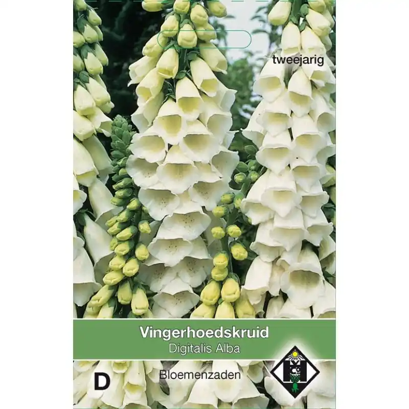 Topproduct | Digitalis purpurea ‘Alba‘ -zaden-