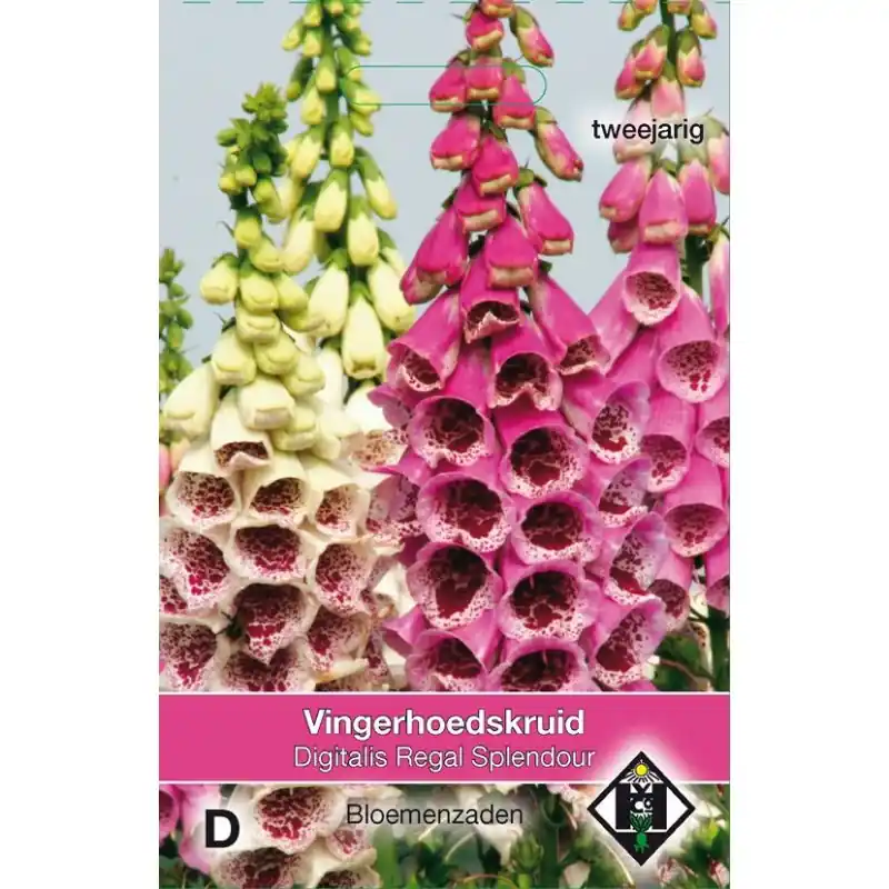 Flitsaanbieding - Digitalis purpurea ‘Regal Splendour‘ -zaden-