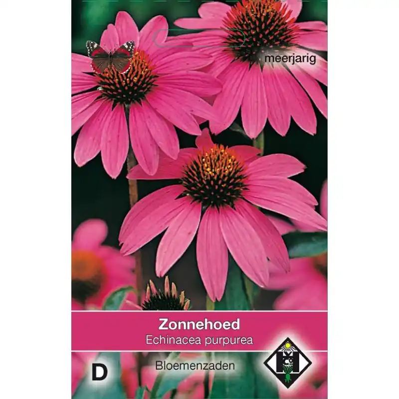 Echinacea purpurea -zaden- | Koopje