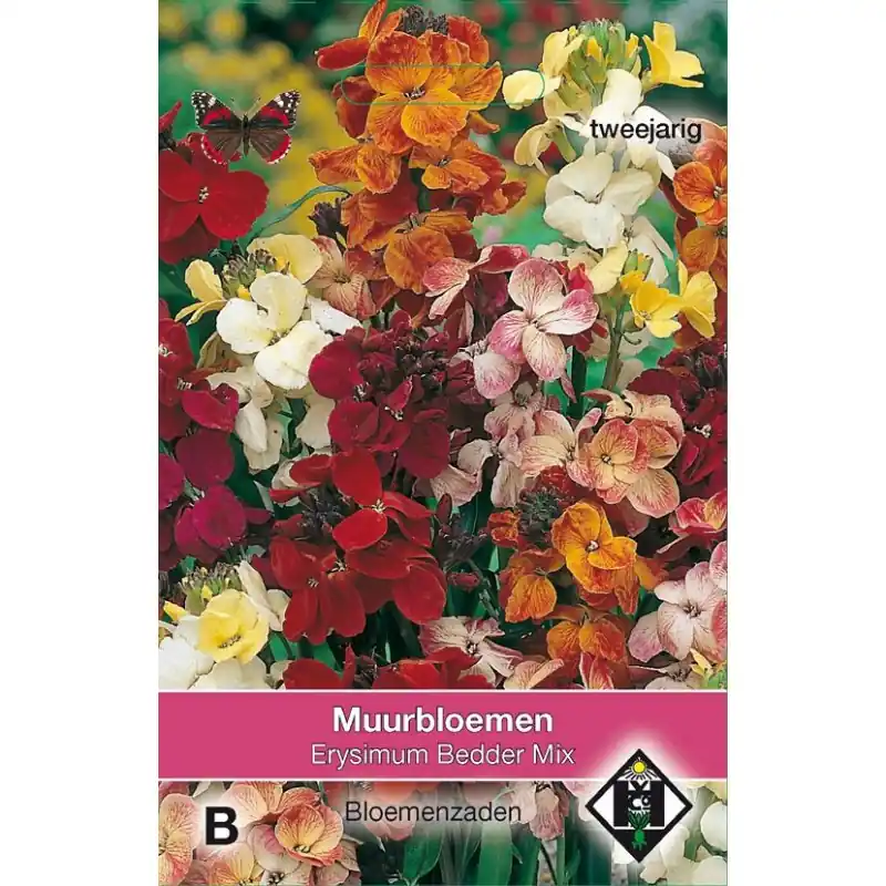 Erysimum cheiri ‘Bedder Mix‘ -zaden- - Erg populair