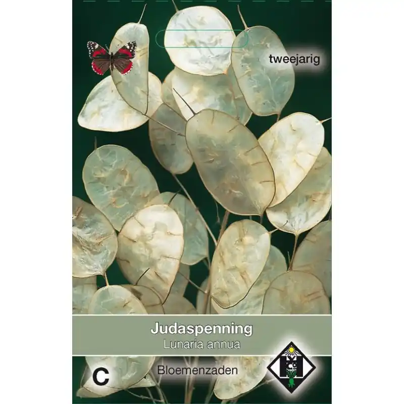 Lunaria annua -zaden- - Favoriet van klanten