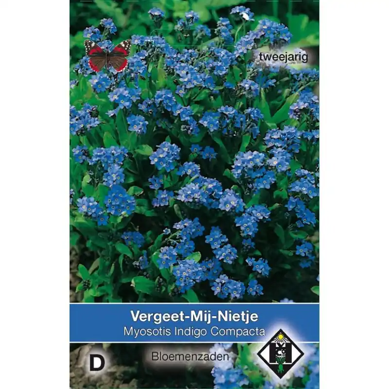 Hoge kwaliteit - Myosotis sylvatica ‘Indigo Compacta‘ -zaden-