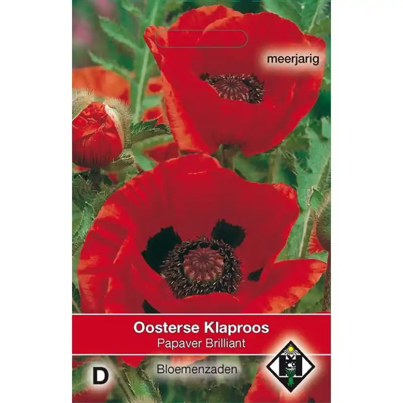 Extra korting | Papaver orientale ‘Brilliant‘ -zaden-