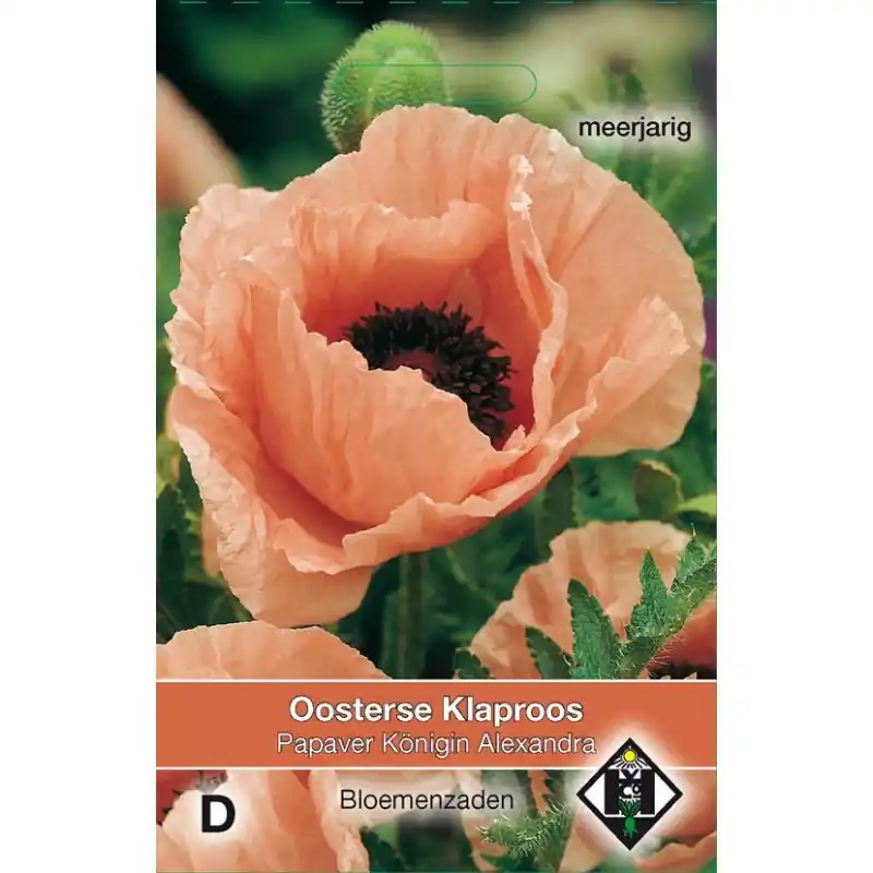 Slechts tijdelijk - Papaver orientale ‘Konigin Alexandra‘ -zaden-