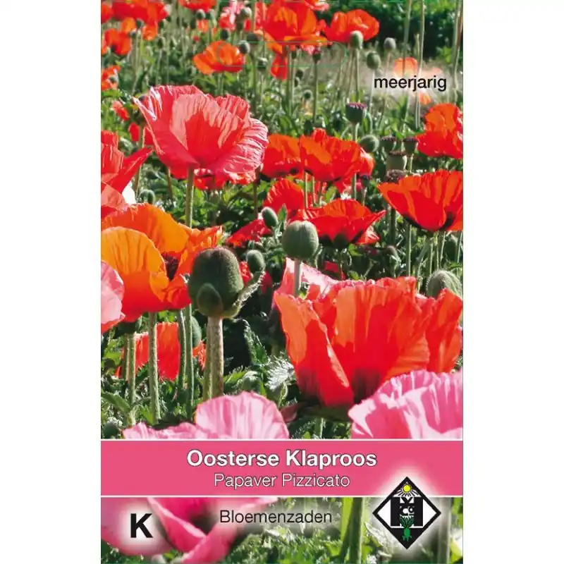 Nog maar enkele beschikbaar - Papaver orientale ‘Pizzicato‘ -zaden-