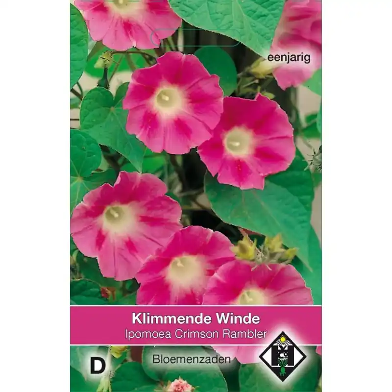 Laatste stuks | Ipomoea purpurea ‘Crimson Rambler‘ -zaden-