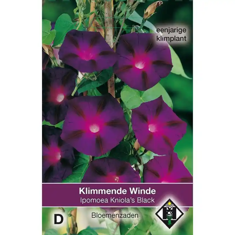 Online kopen | Ipomoea purpurea ‘Kniola‘s Black‘ -zaden-