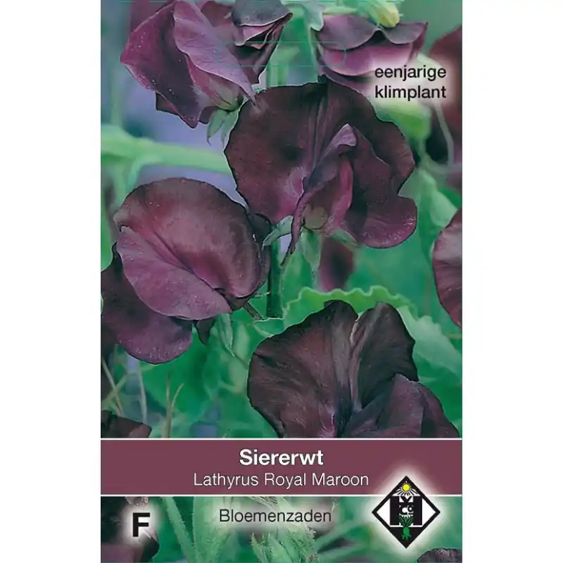 Nieuw binnengekomen - Lathyrus odoratus ‘Royal Maroon‘ -zaden-