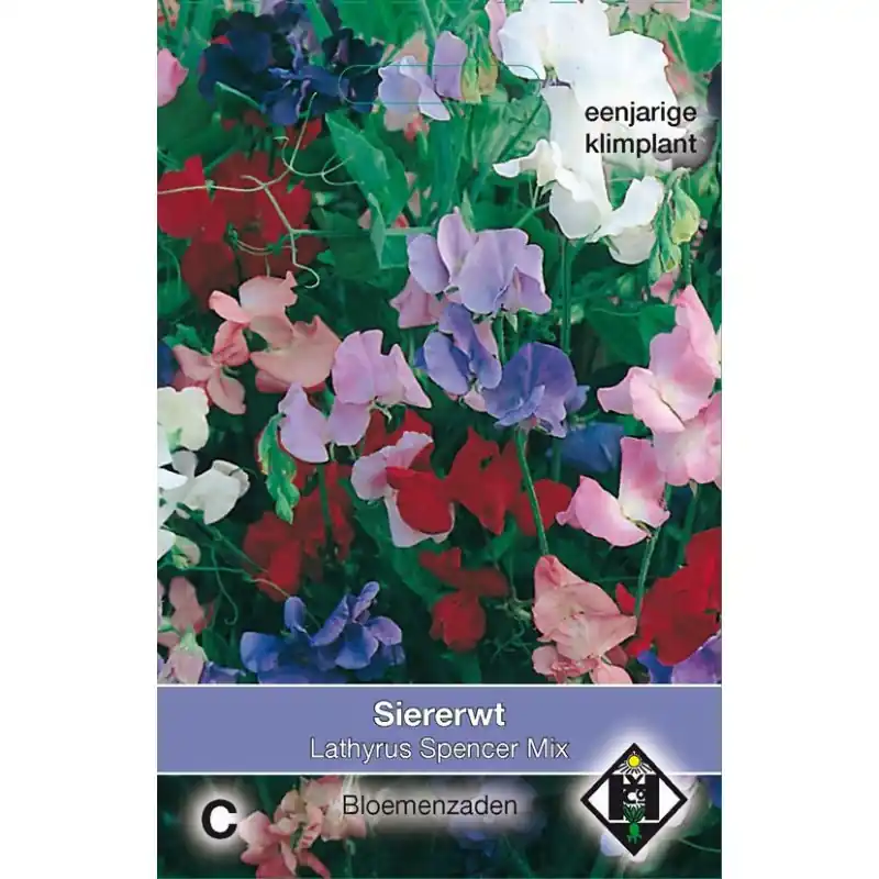 Lathyrus odoratus ‘Spencer Mix‘ -zaden- - Klantfavoriet