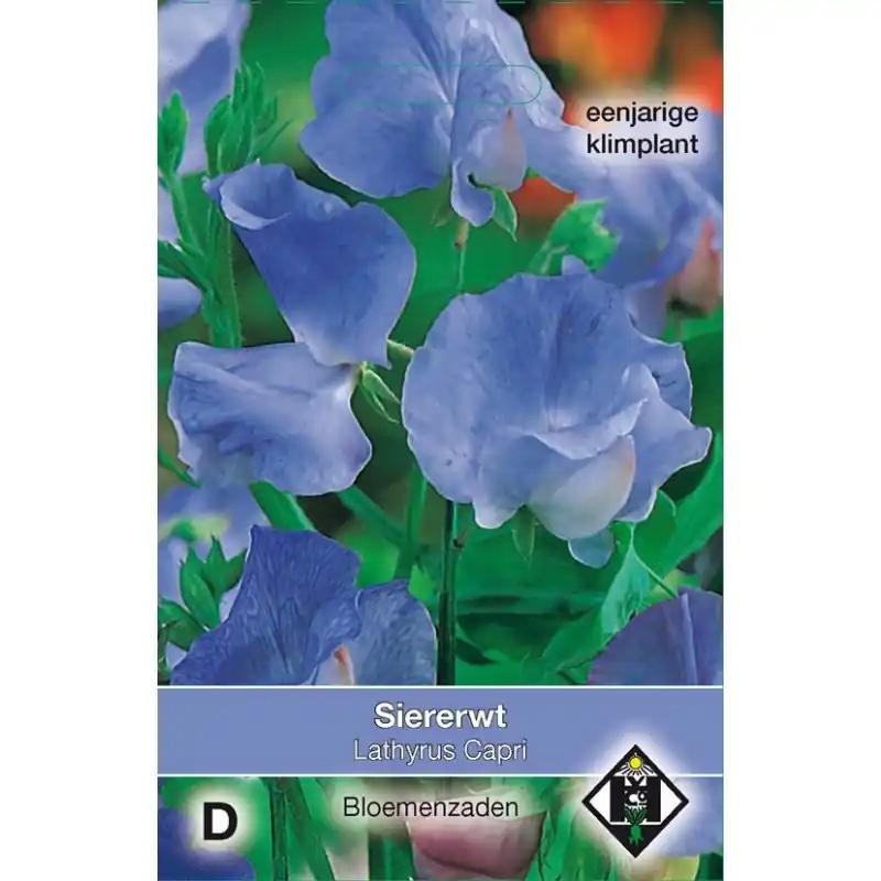 Bijna uitverkocht | Lathyrus odoratus ‘Capri‘ -zaden-