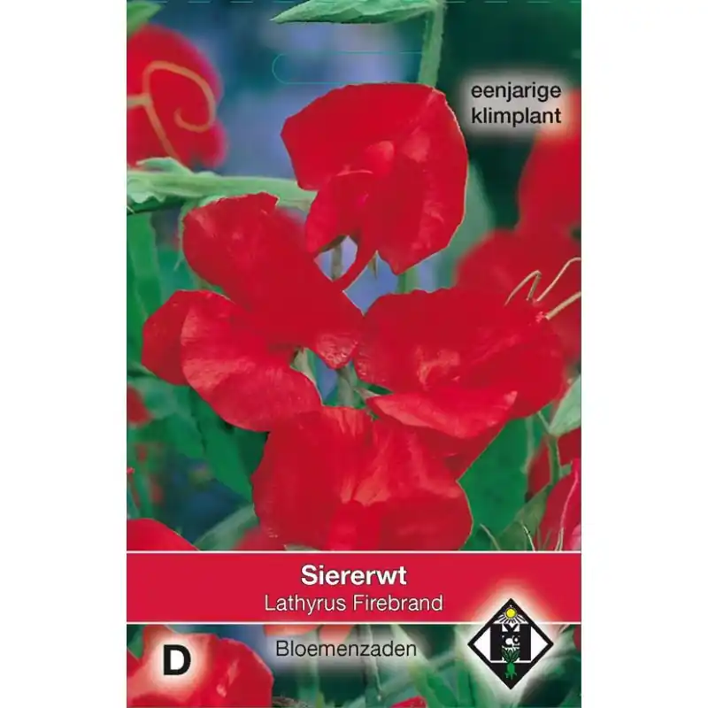 Speciale deal | Lathyrus odoratus ‘Firebrand‘ -zaden-