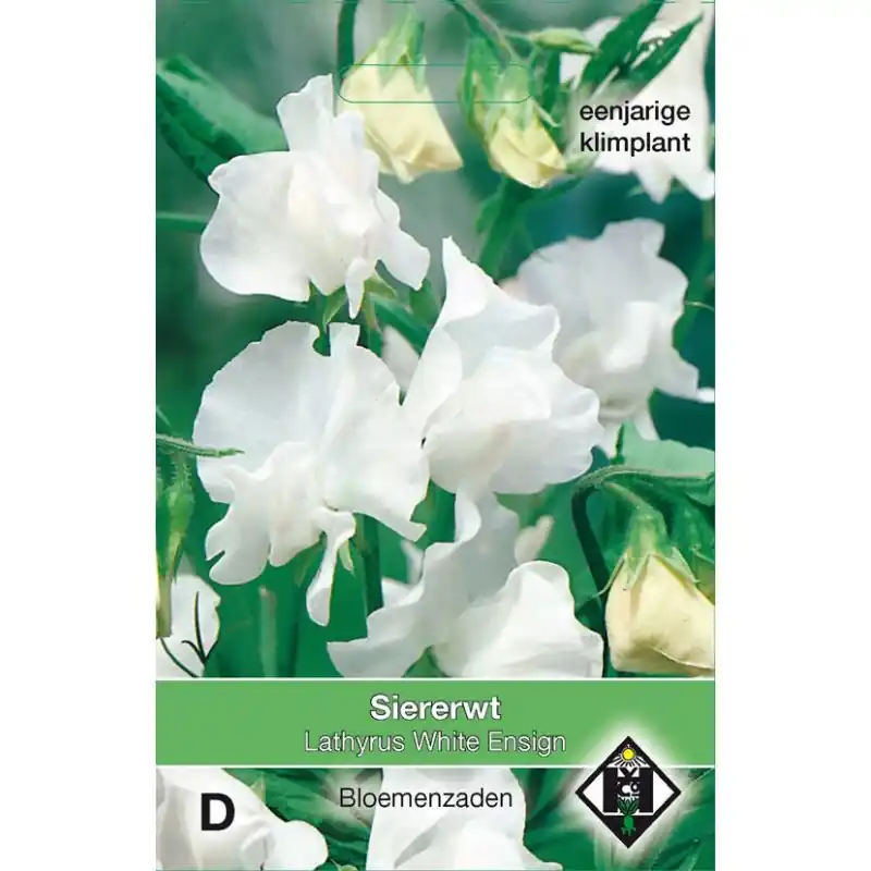 Premium | Lathyrus odoratus ‘White Ensign‘ -zaden-
