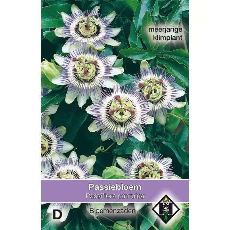 Koopje | Passiflora caerulea -zaden-