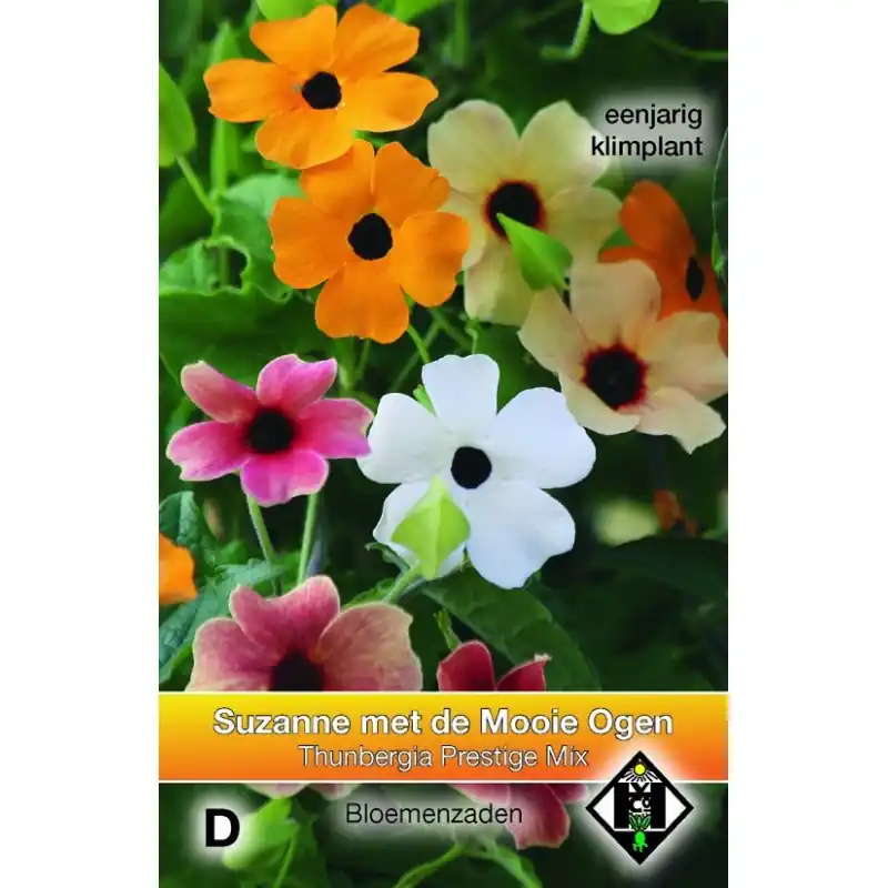 Laatste dagen | Thunbergia alata ‘Prestige Mix‘ -zaden-