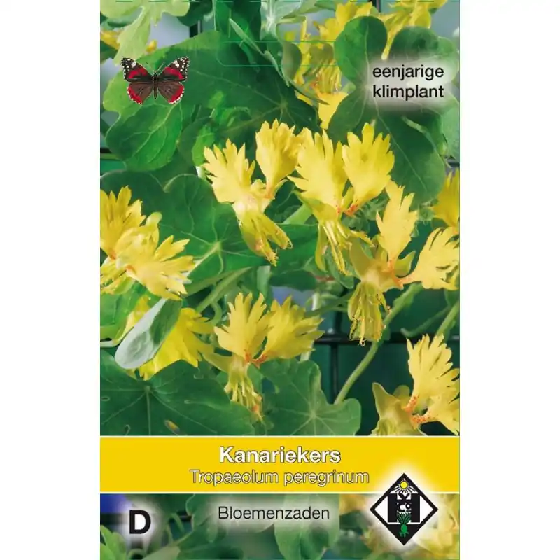 Net binnen - Tropaeolum peregrinum -zaden-