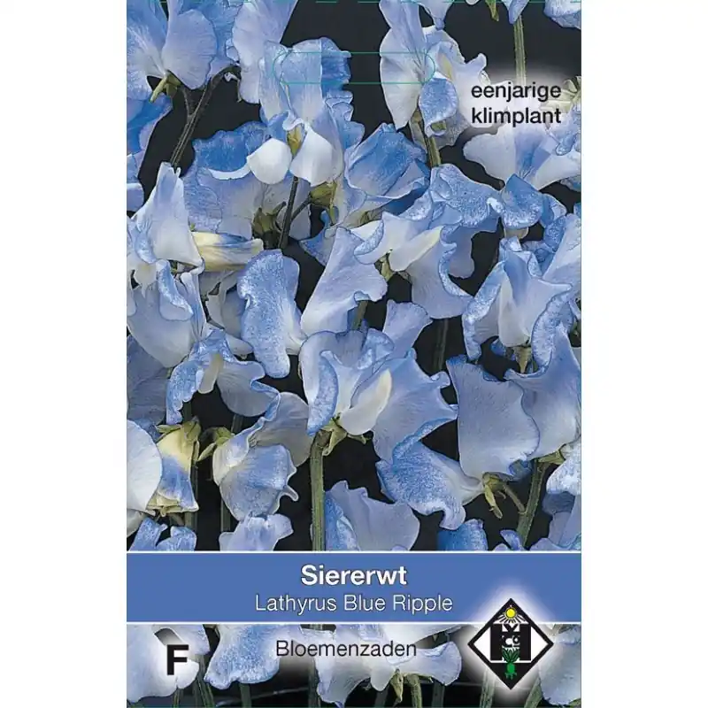 Lathyrus odoratus ‘Blue Ripple‘ -zaden- | Deal