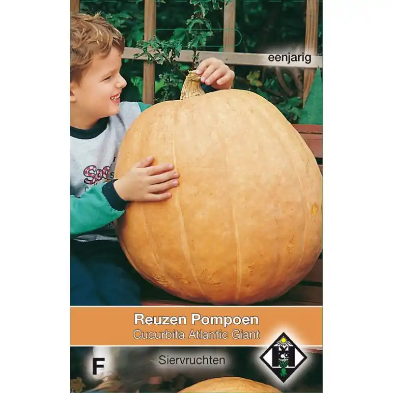 Cucurbita maxima ‘Atlantic Giant‘ -zaden- - Veel voordeel