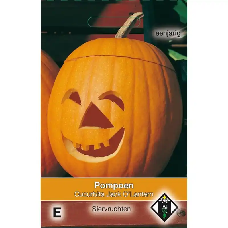 Cucurbita pepo Jack O‘Lantern -zaden- - Voordelig