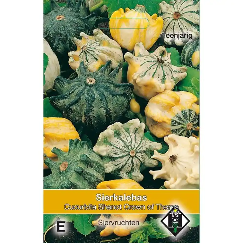 Makkelijk bestellen | Cucurbita pepo ‘Shenot Crown of Thorns‘ -zaden-