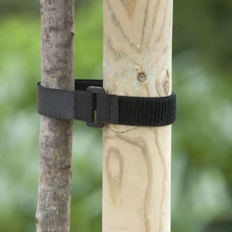 Boomband, Klittenband met gesp 40 x 2,5 cm set à 2 stuks | Sale