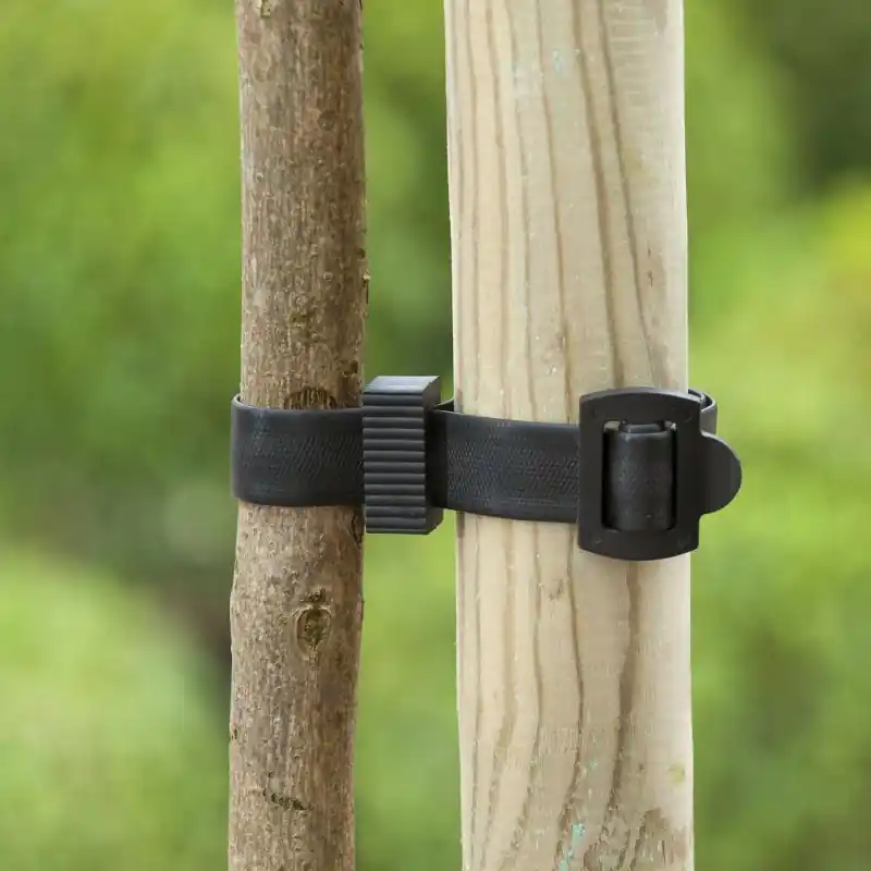 Klaar voor verzending | Boomband met gesp 45 x 2,5 cm.