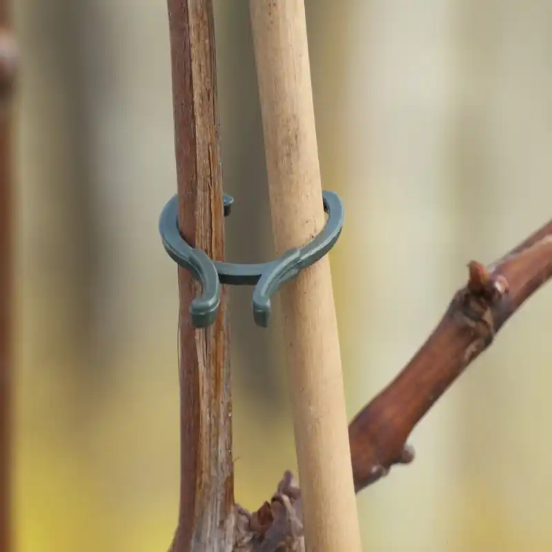 Plantenringen Ø16mm 15 stuks, Ø20mm 15 stuks, Ø25mm 10 stuks | Premiumkwaliteit