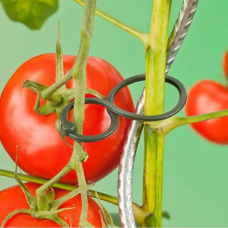 Tomatenplantringen Ø30/20 mm set à 25 stuks - Aanbieding