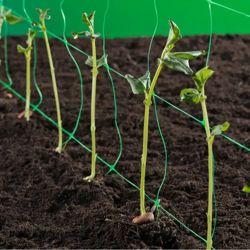 Tuinnet, Klim- groei- en geleidenet groen 2 x 5 m maaswijdte 15 x 17cm 10 g/m². | Bestseller