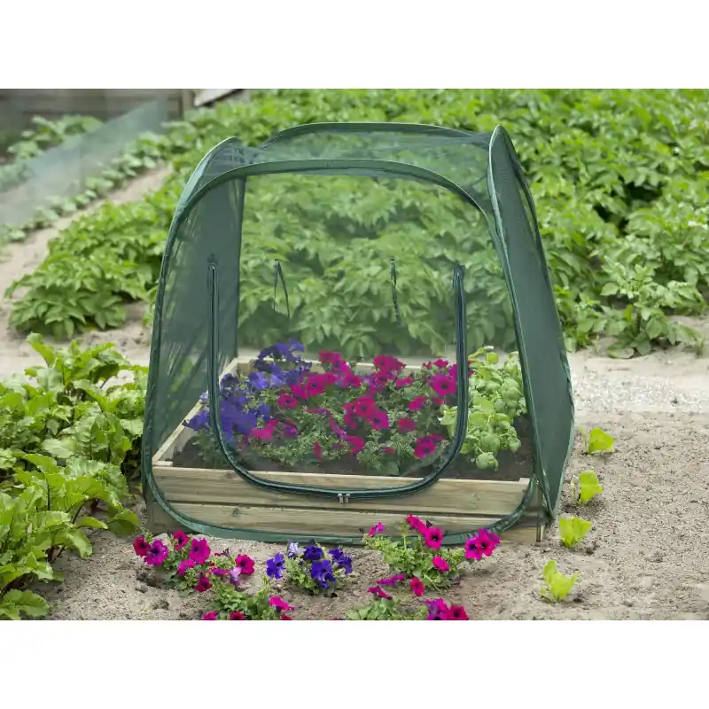 Premium | Pop-up kas voor een vierkante-meter-tuin -insectengaas-