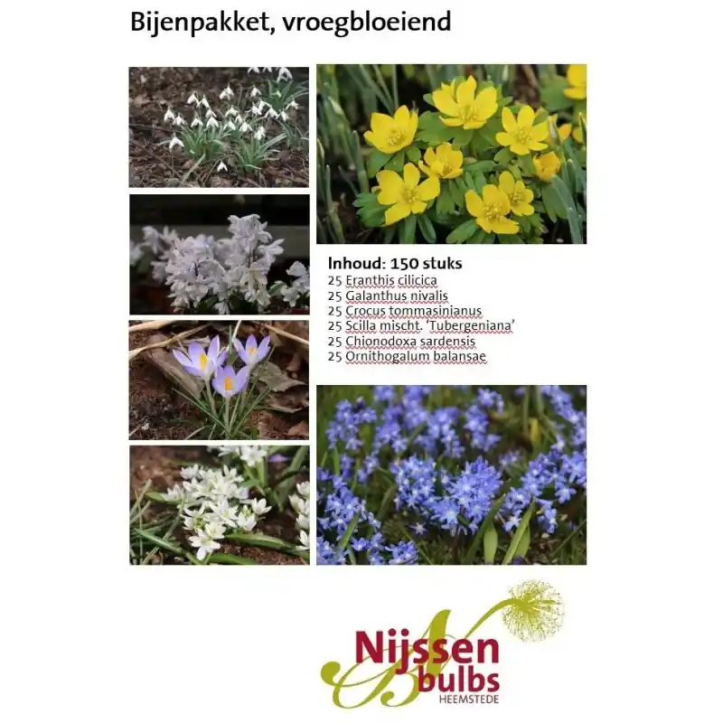 Bijenpakket, vroeg bloeiend 150 stuks - Shop nu