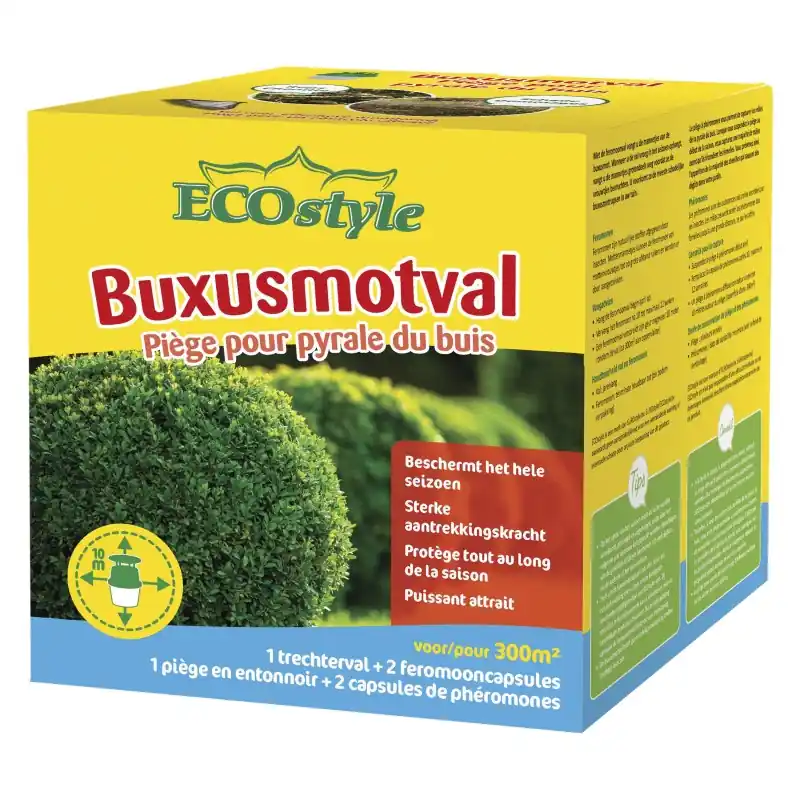 Buxusmot, trechterval | Premium