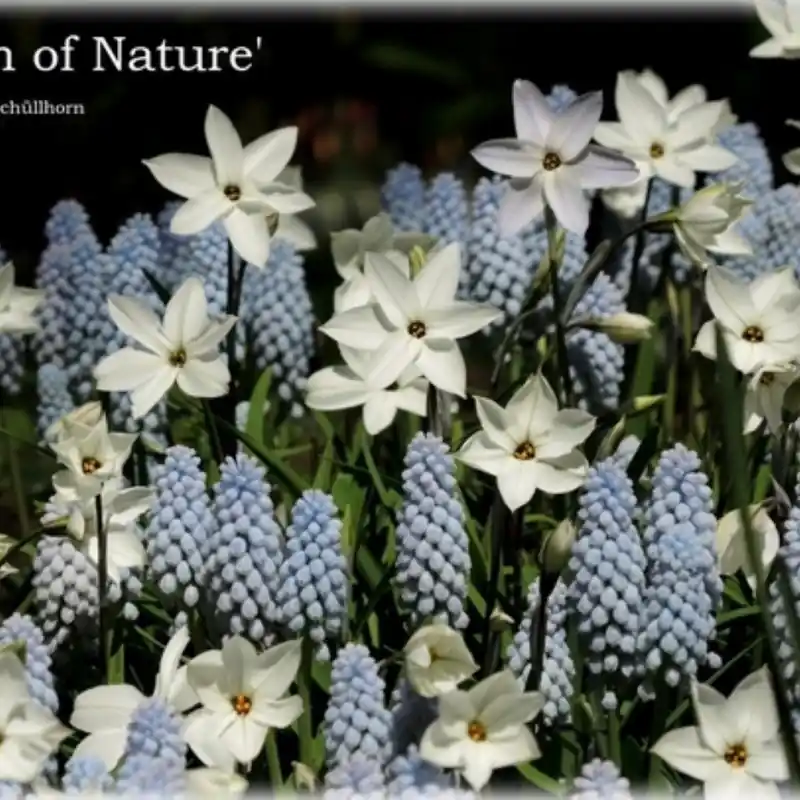 Gratis retourneren - Breath of Nature - pakket-
